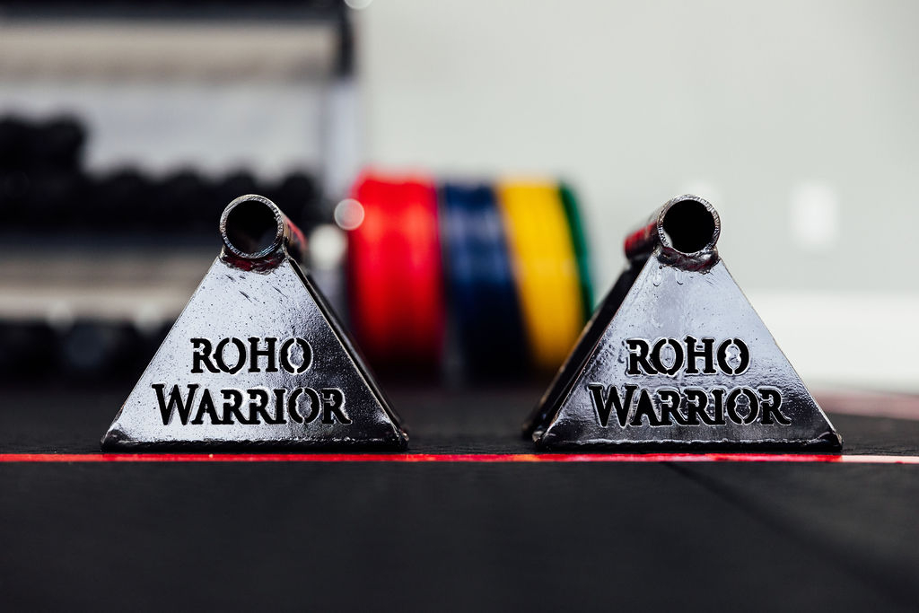Training at Roho Warrior